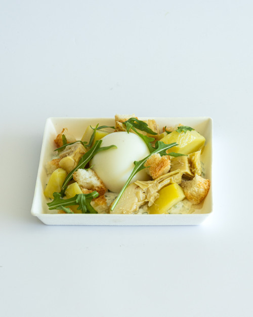 Plateau repas Lyonnais / Lyonnais meal tray