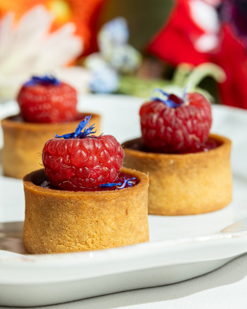 Miniatures fruitées et chocolatées - Plateau de 48 pièces /Fruity and chocolate miniatures - Tray of 48 pieces