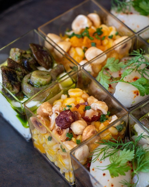 Cubiques - Plateau de 35 pièces / Cubic - Tray of 35 pieces