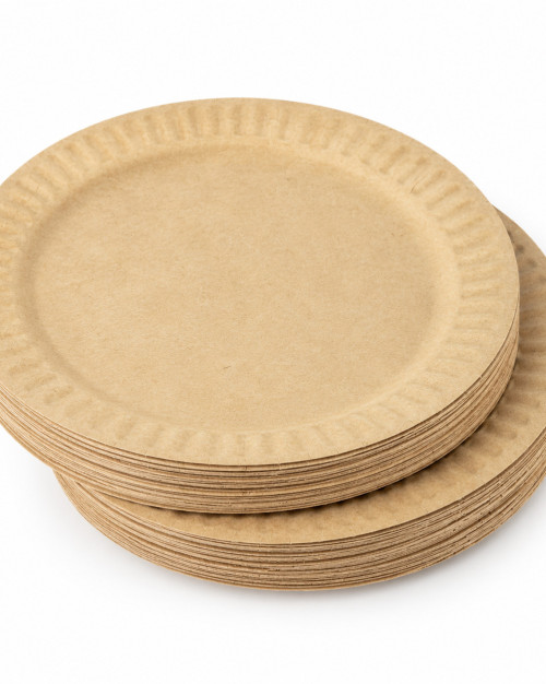 Assiettes jetables 18Ø (lot de 100) / Disposable plates 18Ø (pack of 100)