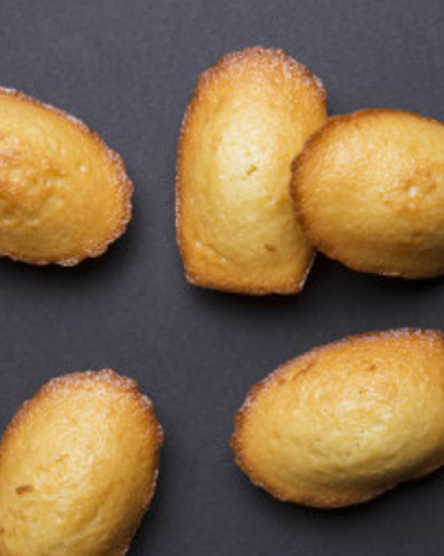 Plateau de madeleines fourrées chocolat / Chocolate-filled madeleines – tray of 24 pieces