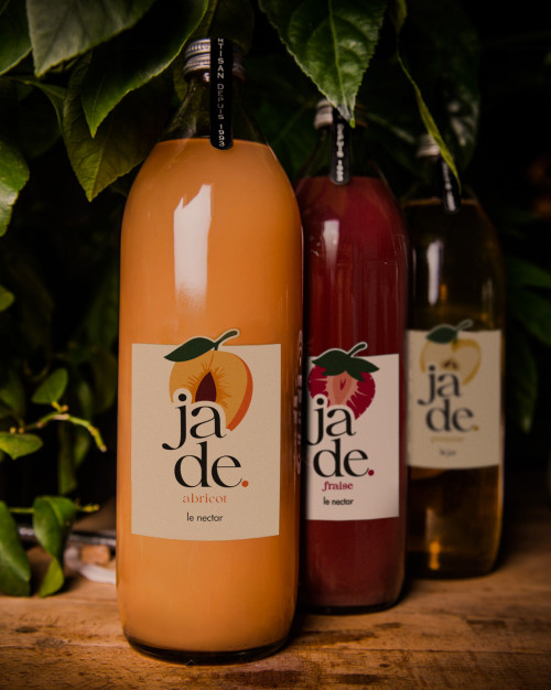 Jus de fruits 1L - Carton de 6 bouteilles / 1L Fruit Juice - Pack of 6 Bottles