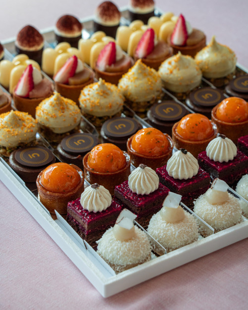 Miniatures fruitées et chocolatées - Plateau de 48 pièces /Fruity and chocolate miniatures - Tray of 48 pieces